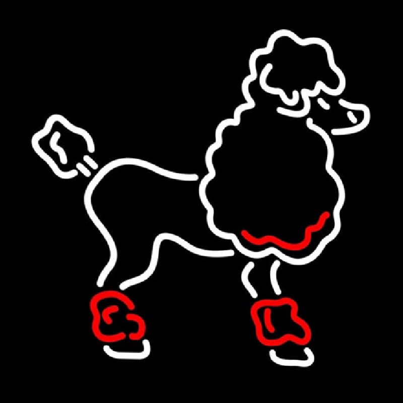 Poodle Leuchtreklame