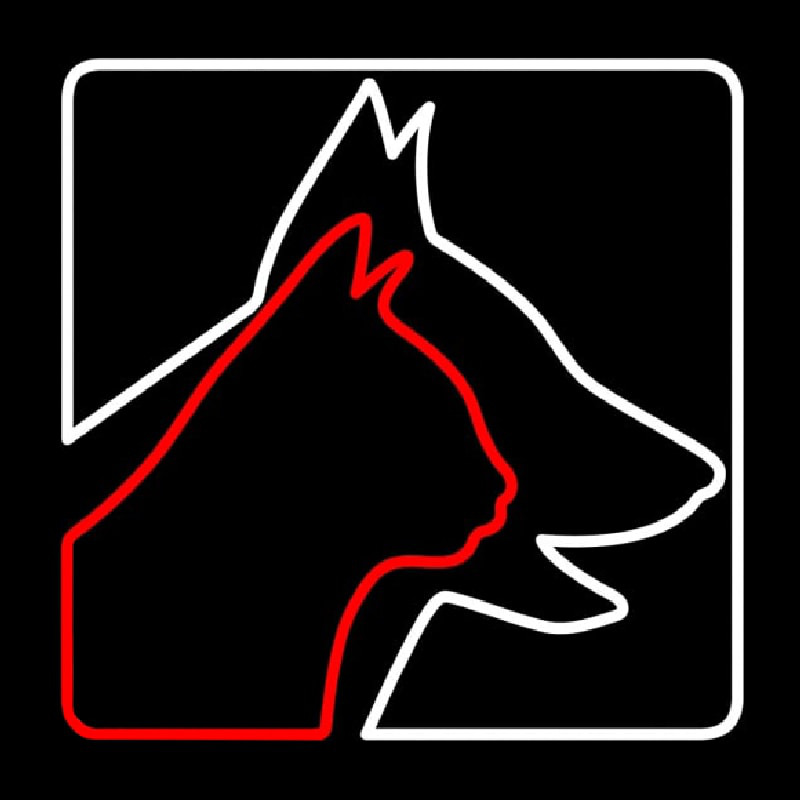 Veterinary Logo Dog Logo Cat Leuchtreklame