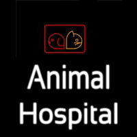 Animal Hospital Leuchtreklame