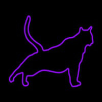 Cat Stretching Purple Leuchtreklame