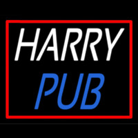 Custom Harry Pub 2 Leuchtreklame