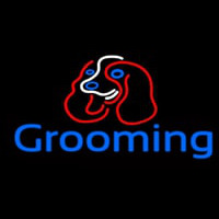 Dog Blue Grooming Leuchtreklame