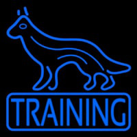 Dog Training Leuchtreklame