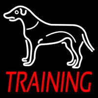 Dog Training Leuchtreklame