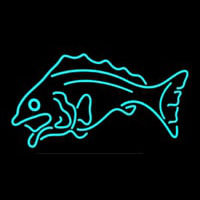 Fish Tuquoise Logo 1 Leuchtreklame
