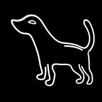 Logo Dog 1 Leuchtreklame