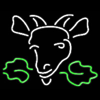 Moosehead Logo Real Neon Glass Tube Leuchtreklame