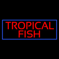 Tropical Fish Blue Border Leuchtreklame
